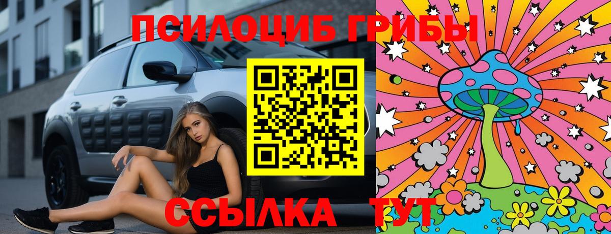 Сорочинск  Галлюциногенные грибы Magic Shrooms  Вход с VPN 