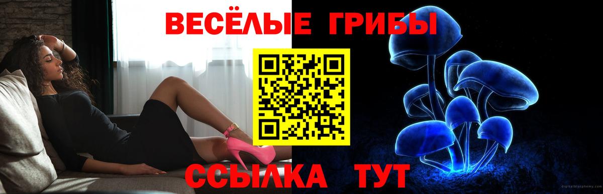 Марихуана  Сорочинск  Экстази  МЕФ кристаллы  Вход с VPN  ГАШ 